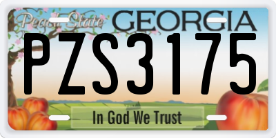 GA license plate PZS3175