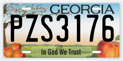 GA license plate PZS3176