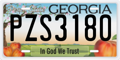 GA license plate PZS3180