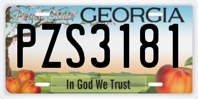 GA license plate PZS3181