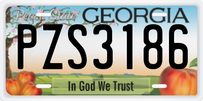 GA license plate PZS3186