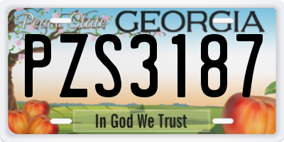 GA license plate PZS3187