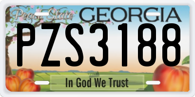 GA license plate PZS3188