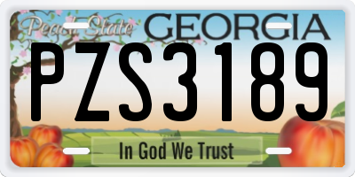 GA license plate PZS3189