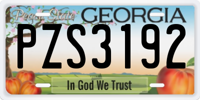 GA license plate PZS3192