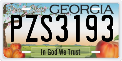 GA license plate PZS3193