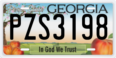 GA license plate PZS3198