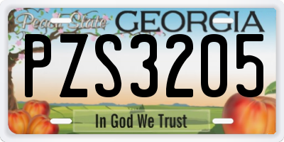 GA license plate PZS3205