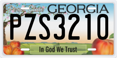 GA license plate PZS3210