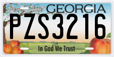 GA license plate PZS3216