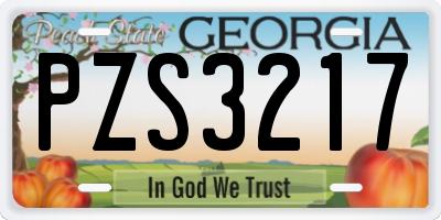 GA license plate PZS3217