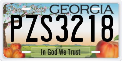 GA license plate PZS3218