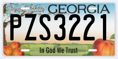 GA license plate PZS3221