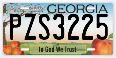 GA license plate PZS3225