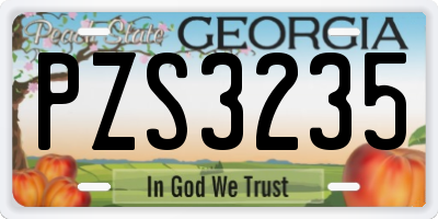 GA license plate PZS3235