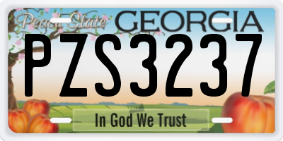 GA license plate PZS3237
