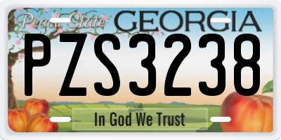 GA license plate PZS3238