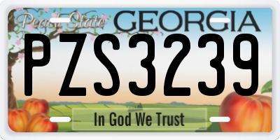 GA license plate PZS3239