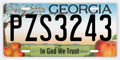 GA license plate PZS3243