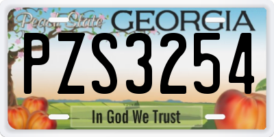 GA license plate PZS3254