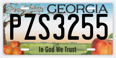 GA license plate PZS3255