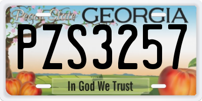 GA license plate PZS3257