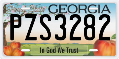 GA license plate PZS3282