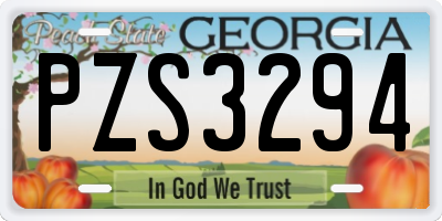 GA license plate PZS3294