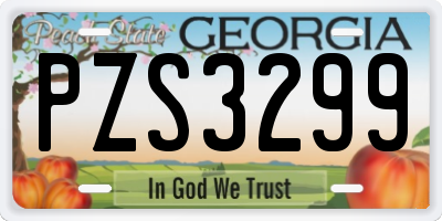 GA license plate PZS3299