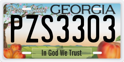 GA license plate PZS3303