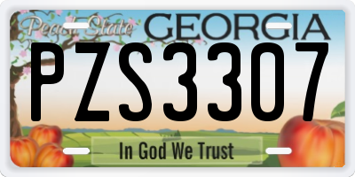 GA license plate PZS3307