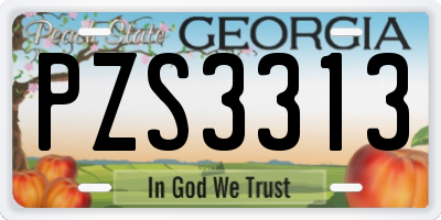 GA license plate PZS3313