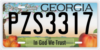 GA license plate PZS3317