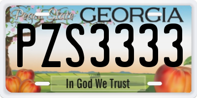 GA license plate PZS3333