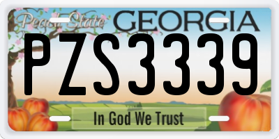 GA license plate PZS3339