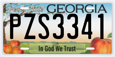 GA license plate PZS3341