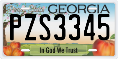 GA license plate PZS3345