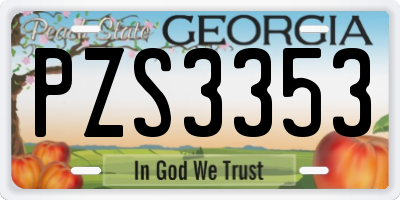 GA license plate PZS3353
