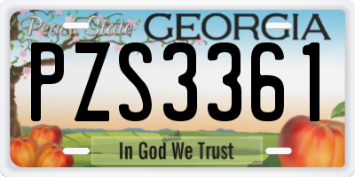 GA license plate PZS3361