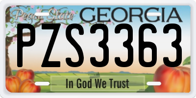GA license plate PZS3363