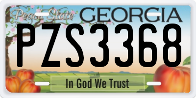 GA license plate PZS3368