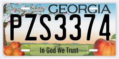 GA license plate PZS3374