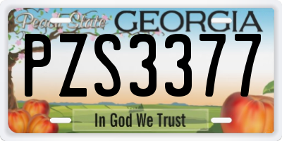 GA license plate PZS3377