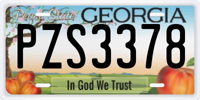 GA license plate PZS3378