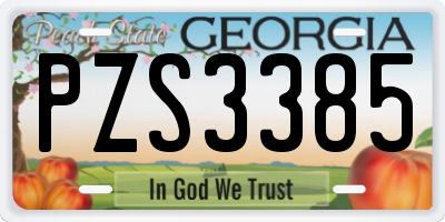GA license plate PZS3385