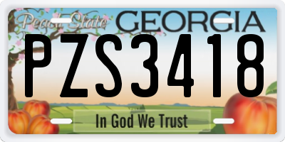 GA license plate PZS3418
