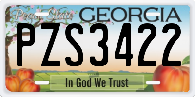GA license plate PZS3422