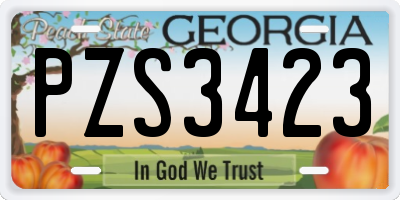 GA license plate PZS3423