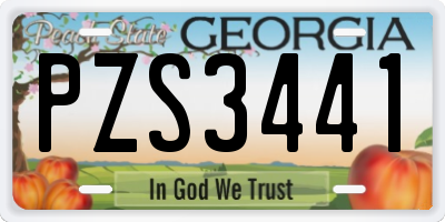 GA license plate PZS3441