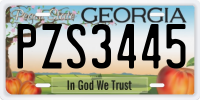 GA license plate PZS3445